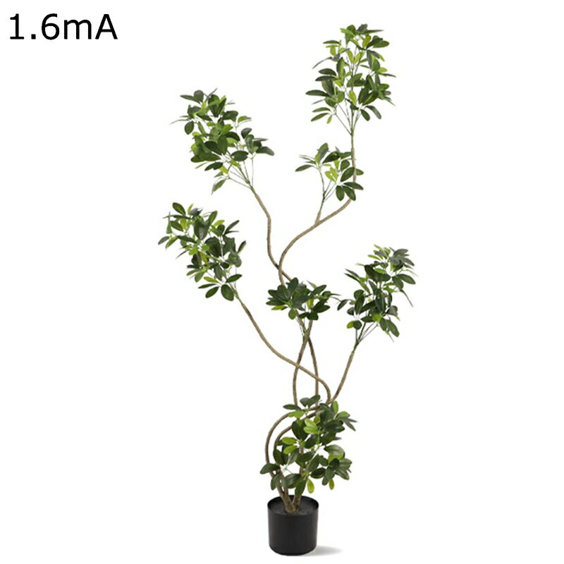 ե꡼ ǮӴռ ƥꥢ ꥢ ͹տʪ տʪ ͹ʪ ռ  160cm ץ ե  ...