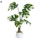 大型観葉植物 モンステラ フェイク フェイクグリーン 人工観葉植物 白い錦 亀背竹 大型サイズ 水やり不要のホーム 害虫が発生しない 簡単世話いらず 自然に着色 北欧風 常緑樹 おしゃれ モダン 北欧 屋内/屋外
