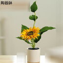 ひまわり 造花 花束 向日葵 人工観葉植物 枯れない花 生花みたい 陶器風鉢 鉢植え 人工観葉植物 造花芸術 撮影 母の日 お祝い プレゼント 結婚式 オフィス...