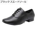 浅口 ダンスシューズ メンズ レースアップ 通気性 踊りやすい クッション性 履きやすい 柔らかい 軽量 ジャズダンススニーカー ラテンシューズ フィットネスシ...