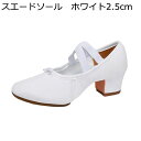 ダンスシューズ レディース ジャズダンスシューズ 社交ダンスシューズ フィット感 蒸れない クロスゴム 吸汗性 軽量 スエードソール ラバーソール 初心者 競技 屋内 屋外 スポーツ 練習着(4)