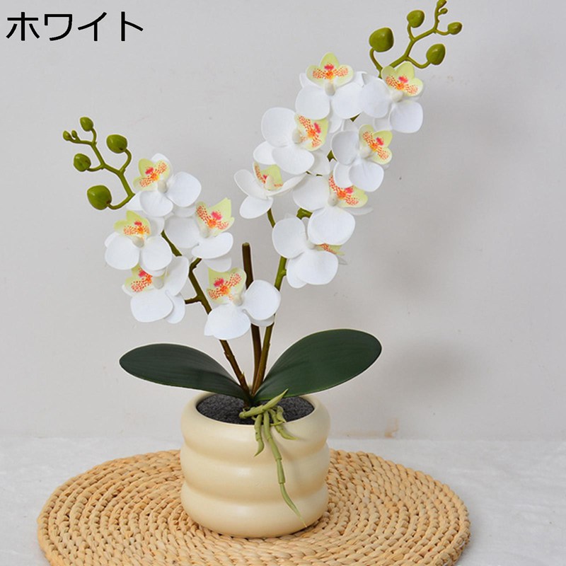 人工観葉植物 胡蝶蘭 造花 ラン 蘭花 インテリア 卓上 本物そっくり 置物 アートフラワー 人工植物装飾 観葉植物 お世話不要 北欧 アート ins 絹花 新生活お祝い プレゼント 部屋飾り 撮影道具 テレビ台