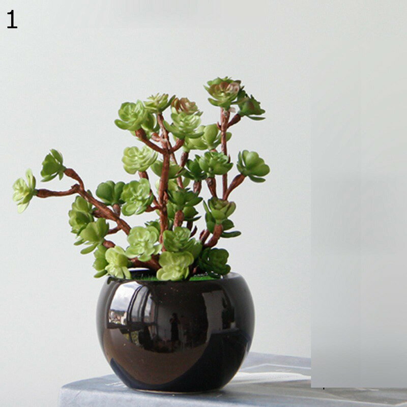 インテリア グリーン サボテン 観葉植物 卓上サイズ フェイクグリーン 多肉植物 室内用 人工観葉植物 水やり不要のホーム 鉢植え 害虫が発生しない 簡単世話いらず 鉢植え おしゃれ モダン 北欧 可愛い ギフト