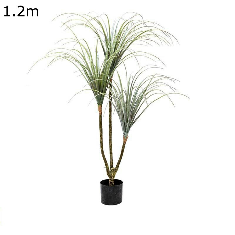 楽天市場】ドラセナ ドラコ（観葉植物｜花・観葉植物）：花