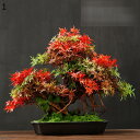 フェイクグリーン 松木 リアル 人工観葉植物 インテリアグリーン 人工植物装飾 観葉樹 観葉植物 小さい 本物そっくり 簡単世話いらず 枯れない ナチュラル 屋内/屋外装飾 ホームガーデン 父の日 お祭り贈り物