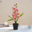 造花セット 枯れない花 胡蝶蘭 蘭花 造花インテリア 観葉植物 装飾花 花束リアル 本物そっくり 花瓶 人工植物装飾 置物 簡単世話いらず 北欧 アート ins...