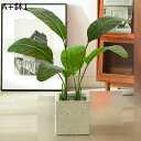 フェイクグリーン モンステラの葉 人工観葉植物 インテリアグリーン リアル 大型緑葉 本物そっくり 観葉樹 観葉植物 枯れないグリーン 北欧風 ins おしゃれ...