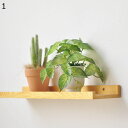 フェイクグリーン リアル 人工葉っぱ 大型 モンステラの葉 アイビー 鉢植え ポトス 人工観葉植物 本物そっくり 観葉植物 人工植物装飾 お世話不要 母の日 敬老の日 結婚祝い クリスマス