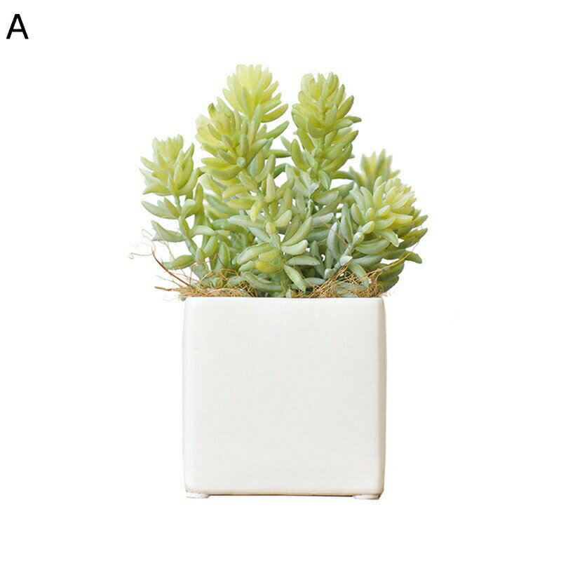 観葉植物 多肉インテリア 多肉植物 枯れない花 熱帯植物 リアル 本物そっくり 簡単世話いらず ミニ花器 北欧風 ins おしゃれ 家 事務所 店 喫茶店 結婚ガーデン飾り 装飾置物 贈り物 写真撮影
