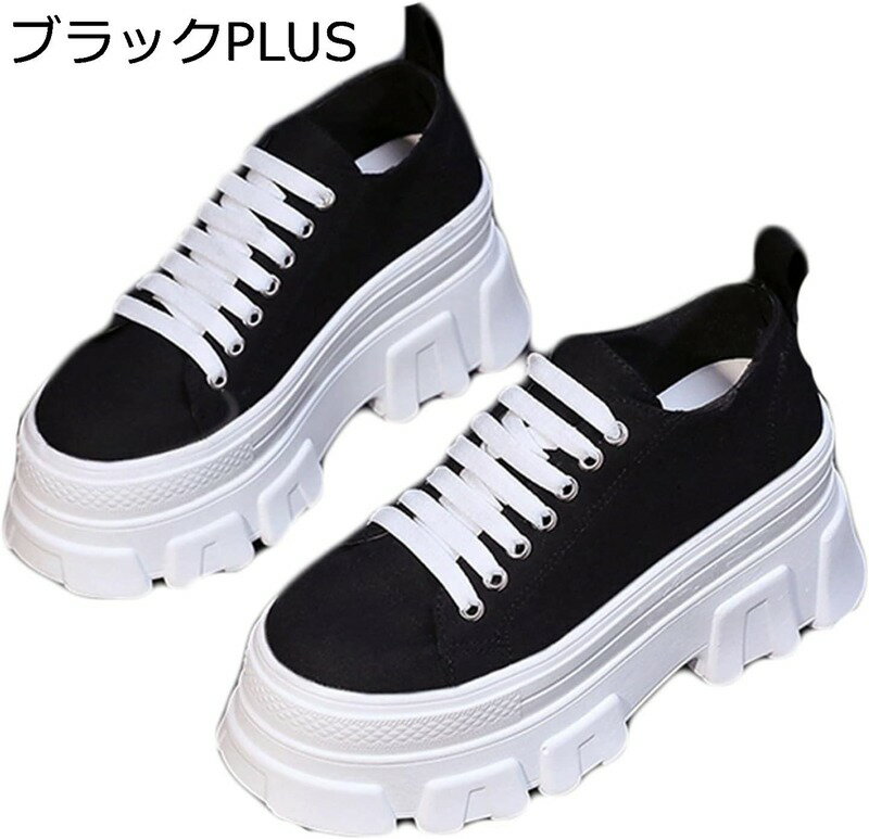 ǥ ҡ륹ˡ ̶̳ λ    졼å æñ  9cm    ...