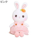 ウサギ ぬいぐるみ 抱き枕 特大 兎 縫いぐるみ スカート着 おもちゃ 可愛い抱き枕 笑顔 ビッグサイズ 癒される 軽量 かわいい 子ども 母 退職祝い 還暦祝い 卒園 お誕生日 敬老の日 バレンタイン