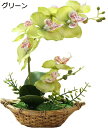胡蝶蘭 人工観葉植物 光触媒加工 造花 卓上型 船型の鉢植 石鉢インテリア フェイク シルクフラワー 胡蝶蘭 新築祝い お開店祝いギフトに最適 プレゼント 敬老の日 (船鉢, 緑)