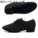 メンズ ダンスシューズ 社交ダンスシューズ カンバス モダン タンゴ ジャズ ラテン ラテンダンスシューズ ステージ 舞台 ソシアル 男性用 各種ダンス 室外 室内履き