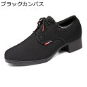 メンズ ダンスシューズ ダンス靴 男性用 3.5cmヒール オックスフォード布 ポリウレタンソール モダン ラテン 社交ダンス サルサ タンゴ ジャズ 各種ダンス 室外