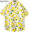 アロハシャツ 花柄シャツ ビーチシャツ メンズ ハワイシャツ 半袖 五分袖 夏 薄い 前開き 肌触り良い 派手 ヴィンテージ カップル おしゃれ ゆったり カジュアル ファッション