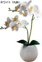 ミニ 胡蝶蘭 造花 鉢植え インテリア 人工 観葉植物 フェイク 敬老の日 誕生日 (ホワイト(丸鉢))