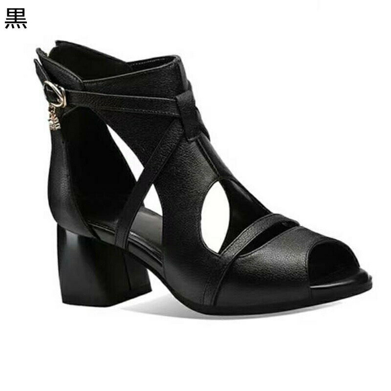 ���硼�ȥ֡��� �å��ȥ�å� �����ץ�ȥ� �������֡��� ��ǥ����� ���å� ���������ȥ�å� �Ʒ� �ߥɥ�ҡ��� ���������ҡ��� ���� Ʃ���� �ȥ��� ��...