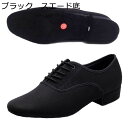 ダンススニーカー メンズ ダンスシューズ 社交ダンス 男性用 オックスフォード布 通気 大きいサイズ モダン 軽量 練習用 ラテン サルサ タンゴ ジャズ ステージ 舞台
