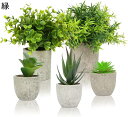 フェイクグリーン 5点セット 人工観葉植物 観葉植物 フェイク 観葉植物 鉢植え 造花 インテリア 可愛い 小さい人工植物 インテリア飾り 父の日 母の日プレゼント お祭り贈り物