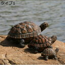 カメ 置物 おもちゃ オブジェ 誕生日プレゼント 亀のオブジェ カメグッズ 亀 動物 アニマル リアル フィギュア グッズ インテリア ガーデン飾り置き物 面白い 机の装飾 屋外装飾 お庭 室内 おもしろオブジェ タイプ ギフト プレゼント