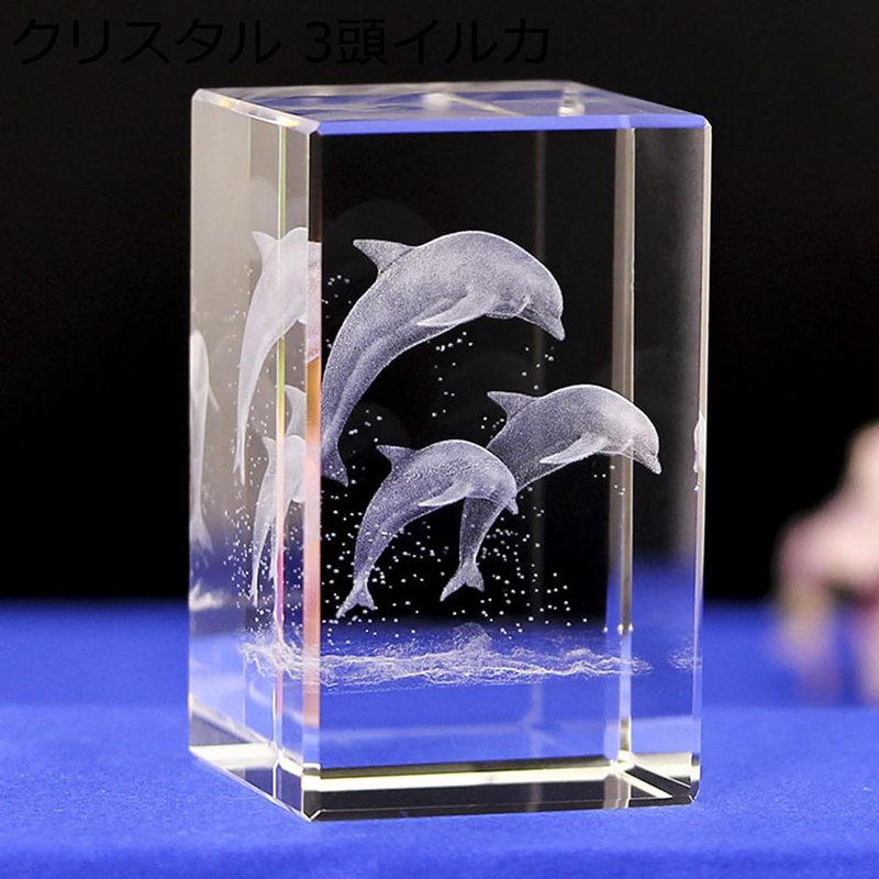 ꥹ 륫 ꥦ ƥꥢ ʪ ֥   饤 ꥹ饤 ܾ LED USB ץ쥼 ...