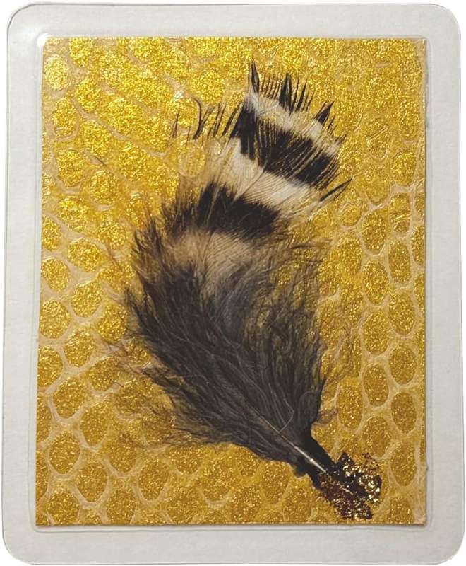 parte1㤨ؤȴ դ  ϥɥᥤ  ߥ͡ EXLEAD Ķ  ȴ    Ɀå ǯ ؤ ؤ  å   פβǤʤ3,858ߤˤʤޤ