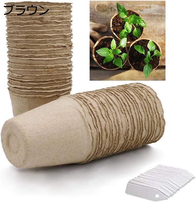 ĥݥå Ȣ  ťúݥå ݷ ȭ ʪ  ĥå åȿʪ٥