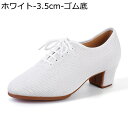 ダンスシューズ レディース ラテン 女性用 モダンダンス 社交ダンス ハイヒール メッシュ ラバーソール 通気 ステージシューズ 演奏会 練習用 ラテンダンスシ...