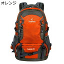 リュックサック タクティカルバックパック 40L60L85L ザック 登山リュック 大型 デイパック レディース メンズ ツーウェイジッパー 耐久性に優れ 収納性 耐震 サバゲー ジャングル 遠足(4)