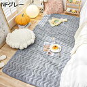 カーペット マイクロファイバー 長毛センターカーペット 大判 ふわふわ 絨毯 無地 おしゃれ かわいい 低反発 めくれない へこみ防止 防臭加工 耐摩耗性 冷房対応 ホテル リビング ベッド ルーム 一人暮らし