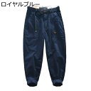 メンズ カーゴパンツ 綿100 ワークパンツ 春秋 薄手 耐摩耗 ストレートパンツ カジュアル 長ズボン ベルト付き 通気性 オーバーサイズ 多ポケット 柔らか...
