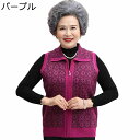 フルジップ衿付ベスト トップス チョッキ 袖なし ショート丈 レディース 高齢者 老人ホームで着る服 お年寄り おばあちゃん レイヤード風 ポケット付き カジュ...