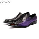 ローファー メンズ レザー 本革 チェルシー ロングノーズ 金属 ラメ入り クロコダイル柄 モカシン スリッポン 安定感 ローヒール 男性用 春夏秋冬 日常 夜店風 美容師シューズ 派手 印象派