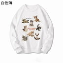パーカー 春秋 レディース 猫プリント プルオーバー トレーナー スウェット かわいい トップス ゆったり 韓国風 長袖 軽い 柔らかい お洒落 カジュアル 防寒 オーバーサイズ 通勤 スポーツ 旅行