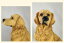 ソーラーライト 屋外 犬 ガーデンライト おしゃれ 庭飾り ソーラー 犬 置物 かわいい F ラブラドール雑貨 ラブラドール 犬 防水 置物ライト 自動点灯 おしゃれ 庭 ガーデン ベランダ 屋外 オ