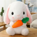 抱きまくら 可愛い 抱き 枕 ウサギ クッション 癒し系 デスク 腰枕 足枕 プレゼント 気持ちいい 安眠グッズ 22cm ボディーピロー 抱き枕 多機能 横向...