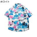 メンズ ビーチシャツ ヤシの木柄 半袖シャツ 総柄 夏服 薄手 アロハシャツ ハワイ風 UVカット カジュアル 涼しい 汗染み防止 折り襟シャツ 男女兼用 ゆっ...