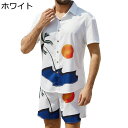メンズ 半袖シャツ ショーパン 二点セット プリント 夏用 アロハシャツ ハワイ風 ビーチシャツ 日焼け防止 カジュアル かっこいい 通気速乾 ゆる 大きいサイ...