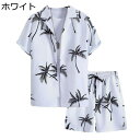 アロハシャツ メンズ 総柄 夏 ショートパンツ 半袖シャツ 二点セット ハワイ風 ビーチシャツ 日焼け止め カジュアル 涼しい 通気性 アウター 花柄シャツ トップス おおきいサイズ ビーチ ウェディング 海