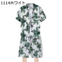 アロハシャツ 上下セット メンズ 半袖 ビーチシャツ 花柄シャツ ストリート系 ハワイ風 ゆったり カジュアル 薄手 汗染み防止 軽量 速乾 涼しい オールシーズン 通学 旅行 普段着 学生 柔らかい