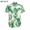 アロハシャツ ハワイアンシャツ プリントシャツ 半袖 ビーチシャツ メンズ 夏服 開襟シャツ サマー 春着 ファッション カッコイイ 吸汗透湿 軽い ストリート系 カジュアル 彼氏 学生 男性 ウエア 夏祭り バカンス 温泉
