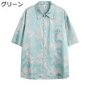 シャツ メンズ 龍刺繍 半袖 カジュアルシャツ チャイナ服 ボタンダウン 夏服 襟付き 体型カバー ポケット付き 四季適用 快適 通気速乾 軽量 吸汗透湿 太極拳服 演舞 武術 涼しい 中華服 男女兼用 チャイナ風(4)