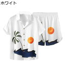 ハワイシャツ 夏服 上下セット ハーフパンツ ハワイ諸島柄 メンズ アロハシャツ 2点セット 半袖 短パン カジュアルシャツ 夏服 春 オシャレ ハワイ風 通気 速乾 柔らかい 快適 汗染み ビーチ ギフト 運動着