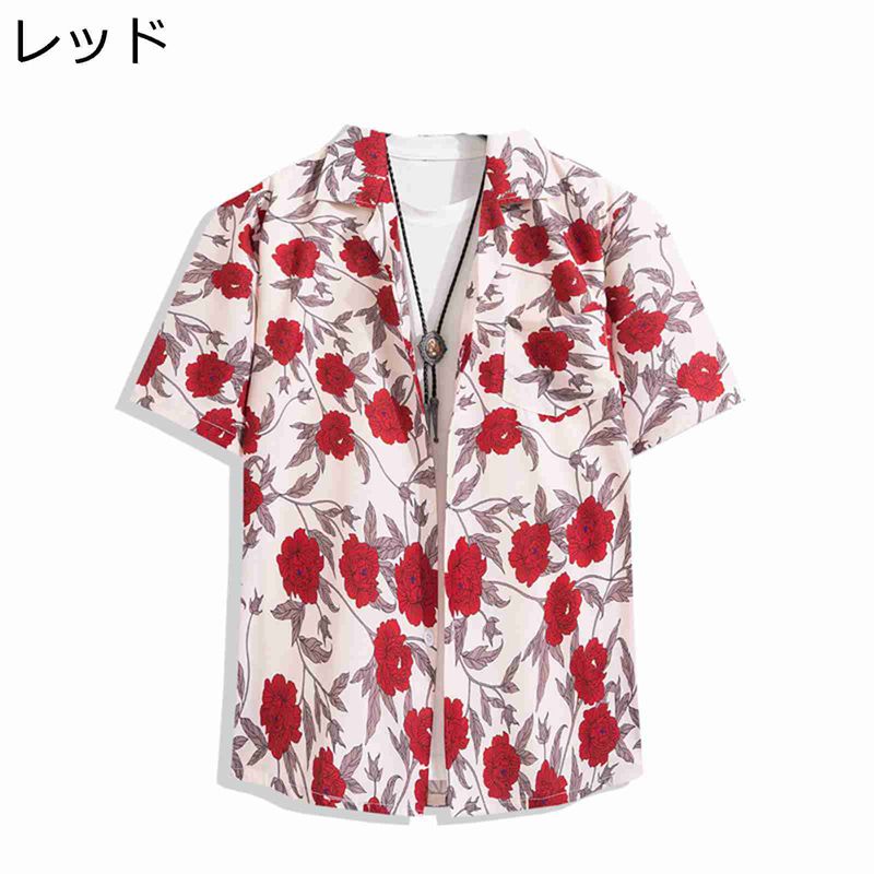 �����ϥ���� ��߲� �ϥ磻����� ��� Ⱦµ����� ���� ������ �����奢�륷��� �� �� �ե��å���� ��˥��å��� �ե������ ��ȥ� ������ ���� ��...