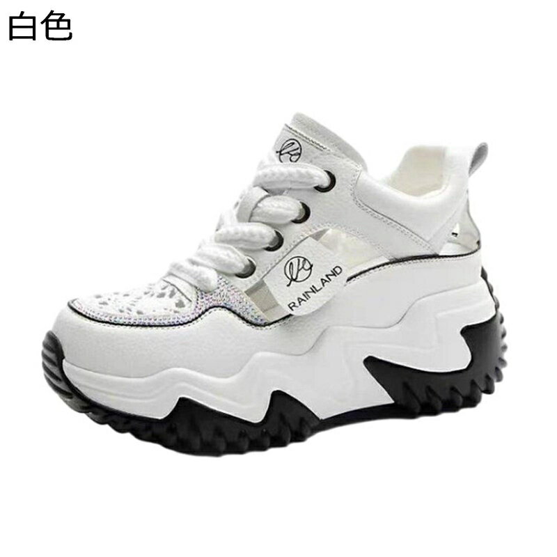 쥵 ˡ å ݡĥ ǥ 졼å İ  ץȥ  ɳ ̵  ...
