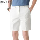 スラックス ハーフパンツメンズ スーツパンツ 5分丈 ショットパンツ 薄手 冷感 大きいサイズ 夏 通気 薄手 ひんやり 短パン ストレート カジュアル ゴルフ 半ズボン ストレッチ 細身 フィット