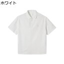 ポロシャツ メンズ 半袖 綿 ワンポイント ビジネス ボタンダウン 夏服 ゴルフシャツ スポーツウェア 襟付き 半袖シャツ プルオーバー カジュアル ファッション 冷感生地 速乾吸汗 通気 若者 青年 学生 スポーツ