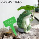 ガーデンオーナメント ブロッコリーカエル 置物 ラビット ガーデニング雑貨 オブジェ かわいい ガーデン うさぎ 樹脂 飾り 防水 耐久 プレゼント ギフト 庭...
