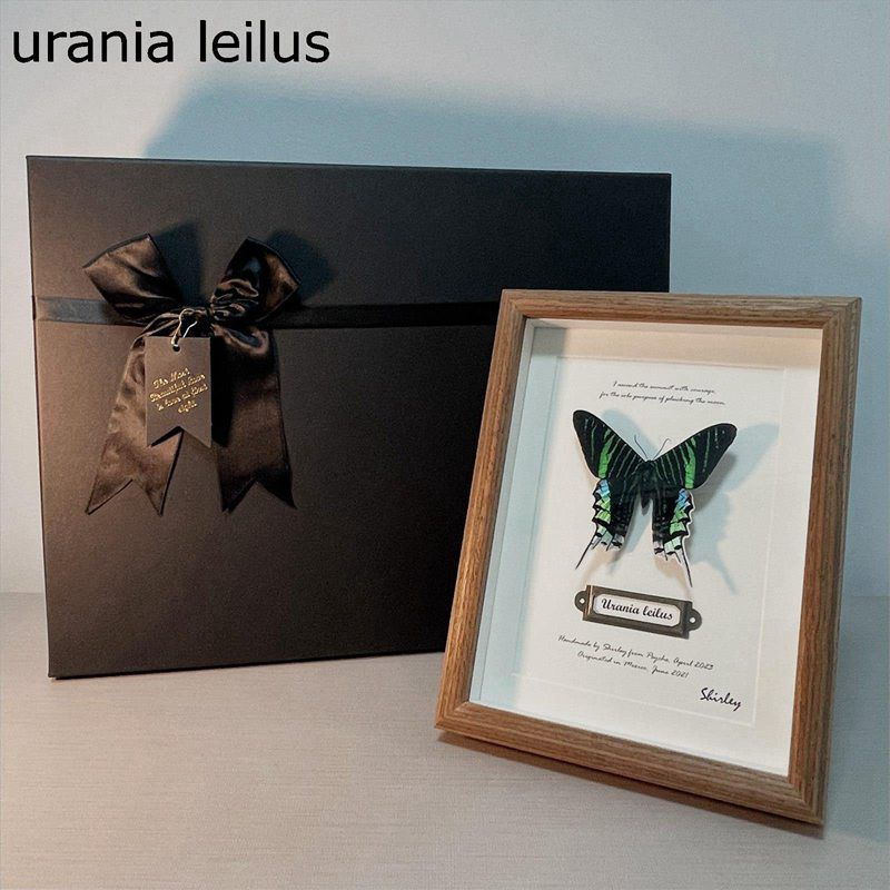 額縁 立体額 ボックスフレーム フォトフレーム 色紙 壁掛け 卓上 ドライフレーム 標本箱 お祝い 結婚祝..