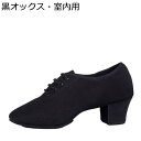 メンズ 社交ダンスシューズ ダンスシューズ ジャズ ラテン タンゴ 各種ダンス スエードソール仕様 クラシカル 耐久性 防滑 オックスフォード素材 踊り靴 履き...